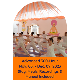 Advanced 300hr yoga teacher training rishikesh